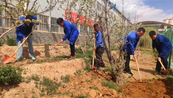 為強(qiáng)化企業(yè)文化建設(shè)，培養(yǎng)廣大員工拼搏進(jìn)取的團(tuán)隊(duì)精神，展現(xiàn)新時(shí)代青年昂揚(yáng)風(fēng)采，在“五一”國(guó)際勞動(dòng)節(jié)和“五四”青年節(jié)來(lái)臨之際，西部市政建設(shè)集團(tuán)各基層工會(huì)聯(lián)合團(tuán)支部開(kāi)啟了一場(chǎng)場(chǎng)別具特色的“勞動(dòng)添綠+趣味競(jìng)技